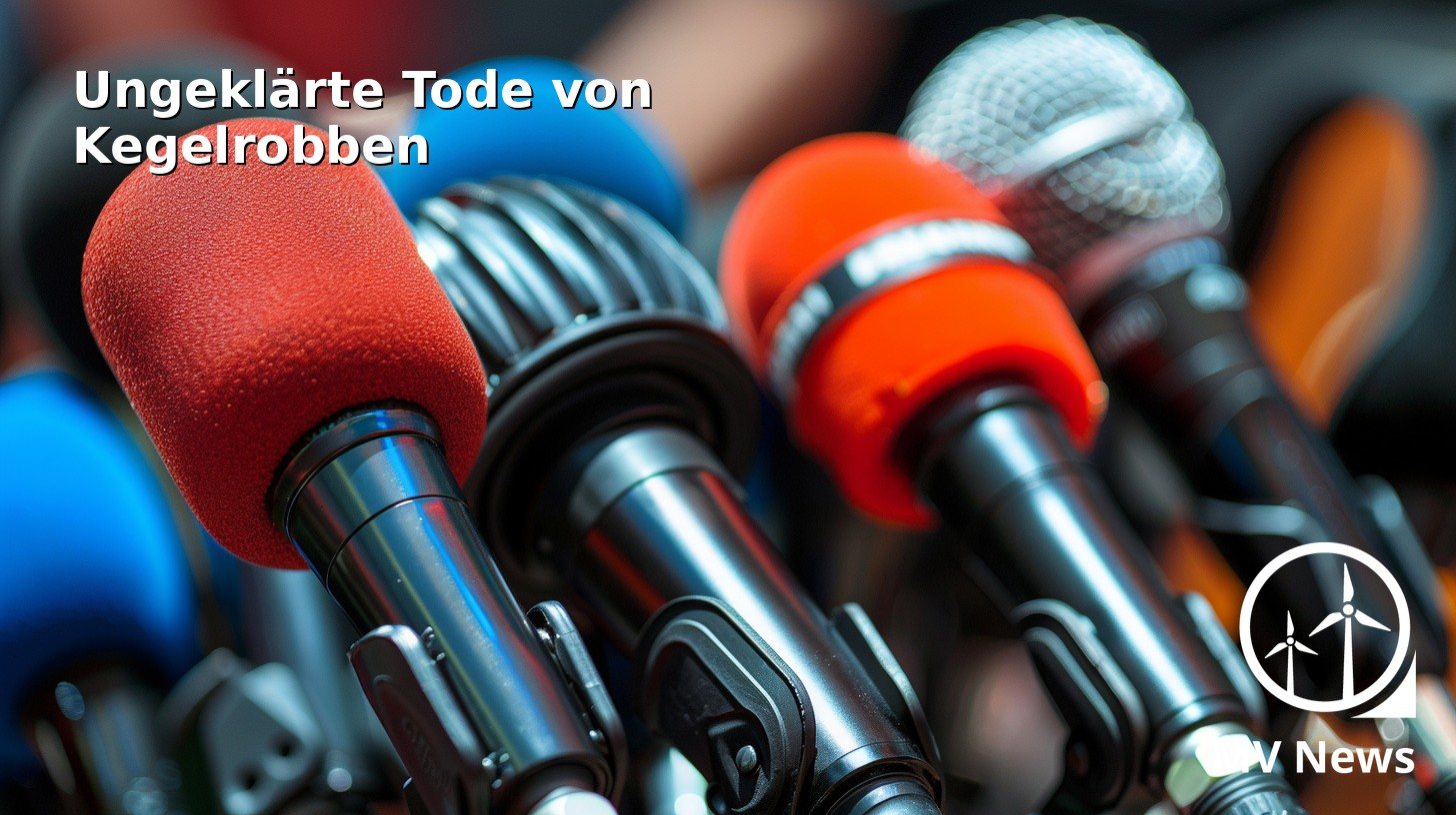 Mysteriöse Kegelrobben-Tode an der Ostseeküste